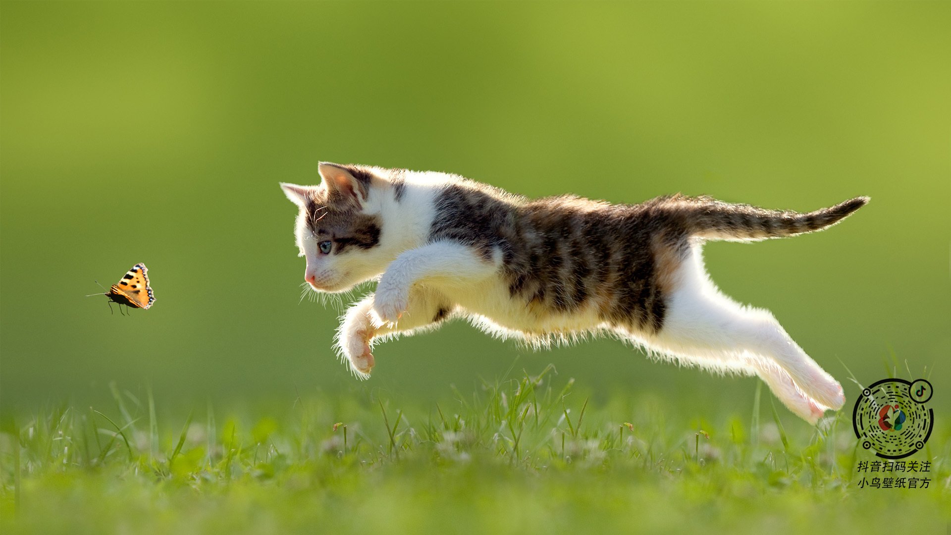 压迫型战术是否让五大联赛比赛节奏整体提升,什么是压迫式运动